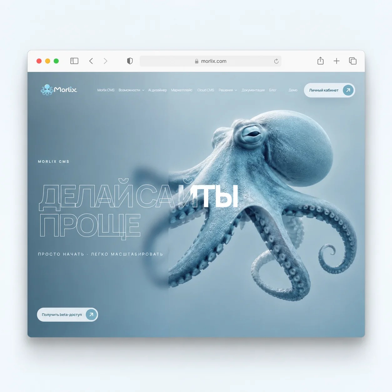 Пример изображения в слоях Design Studio
